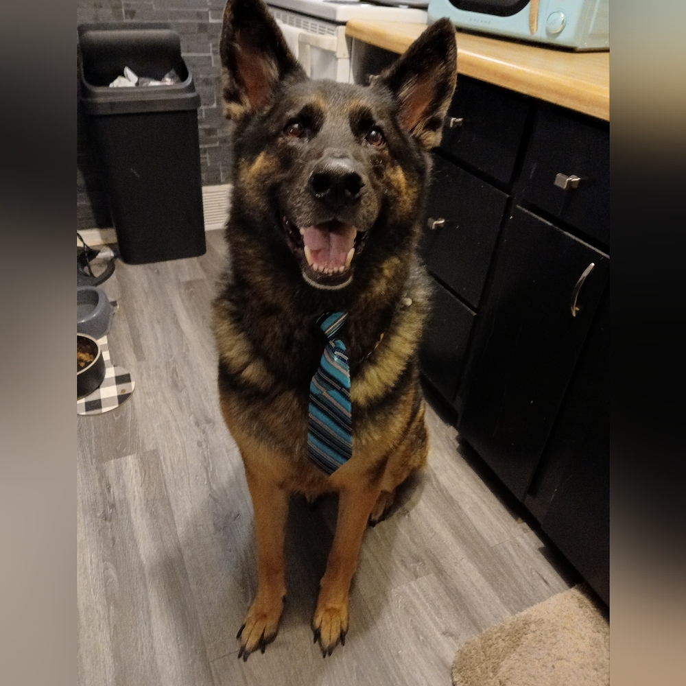 IM LIVE GUYS!!! SHARE 2, BUNDLE MORE!! - Picture 12 of 16